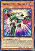 mp17-en007-raidraptorpainlanius