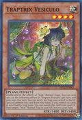 mp22-en063-traptrixvesiculo