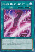 mp22-en094-basalroseshoot