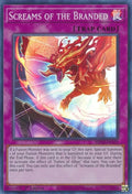 mp22-en103-screamsofthebranded