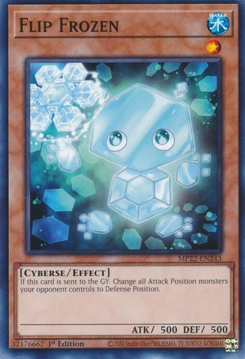 mp22-en243-flipfrozen