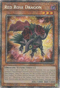 mp25-en037-redrosedragon