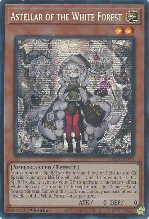 mp25-en079-astellarofthewhiteforest