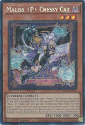mp25-en123-malisspchessycat