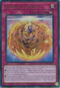 mp25-en172-eternalfavorite