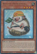 mp25-en261-rescuehedgehog