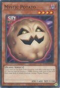 mp25-en339-mysticpotato