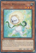 mp25-en377-dandywhitelion