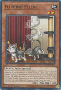 mp25-en410-flippingfeline