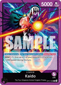 op17-058-kaido058