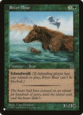 p02-144-riverbear