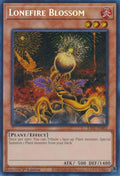 ra01-en002-lonefireblossomsecretrare