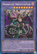 ra01-en027-predaplantdragostapeliapcr