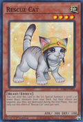 ra02-en001-rescuecatalternateart