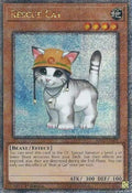 ra02-en001-rescuecatquartercenturysecretrare