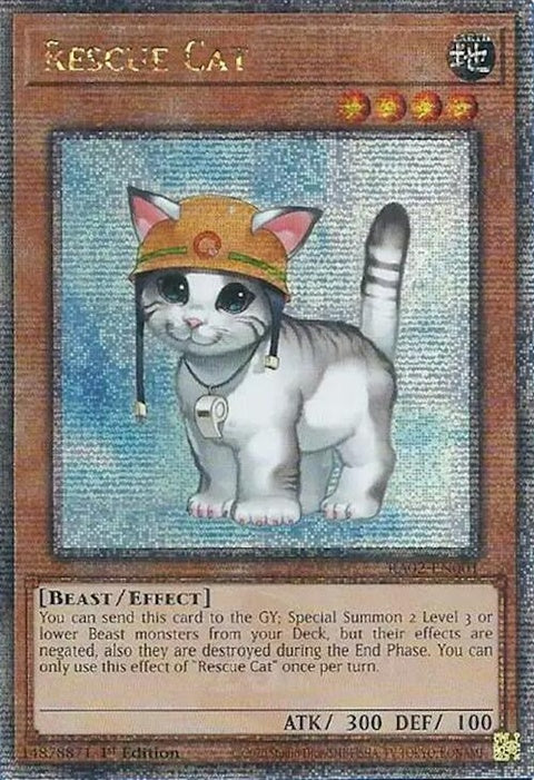 ra02-en001-rescuecatquartercenturysecretrare