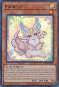 ra02-en018-purrely