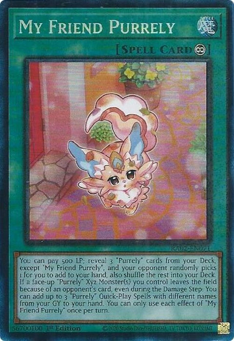 ra02-en071-myfriendpurrelypcr