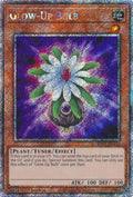 ra03-en245-glowupbulbplatinumsecretrare