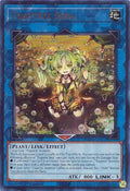 ra04-en075-traptrixseraur