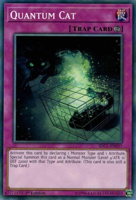 sdcl-en037-quantumcat
