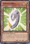 sdcr-en007-cyberlarva