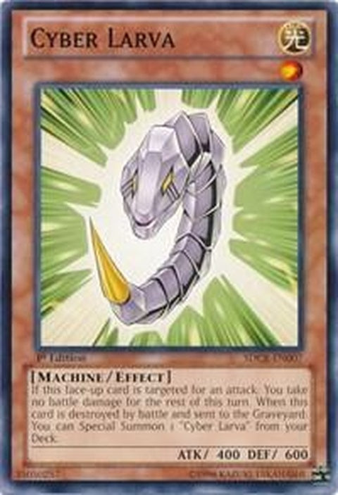 sdcr-en007-cyberlarva