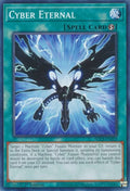 sdcs-en022-cybereternal