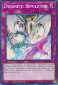 sdcs-en035-cyberneticrevolution
