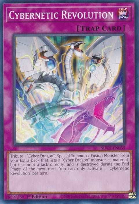 sdcs-en035-cyberneticrevolution