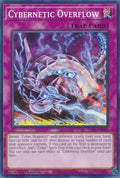 sdcs-en040-cyberneticoverflow