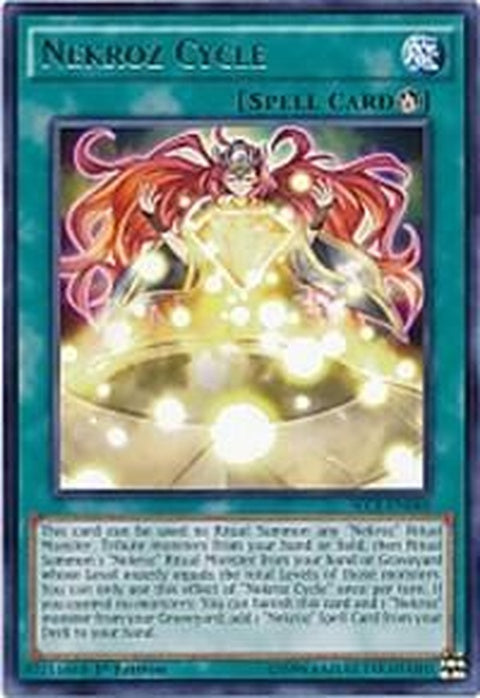 sece-en060-nekrozcycle