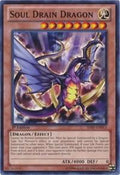 shsp-en013-souldraindragon