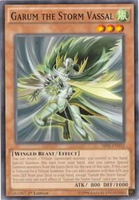 sr01-en015-garumthestormvassal