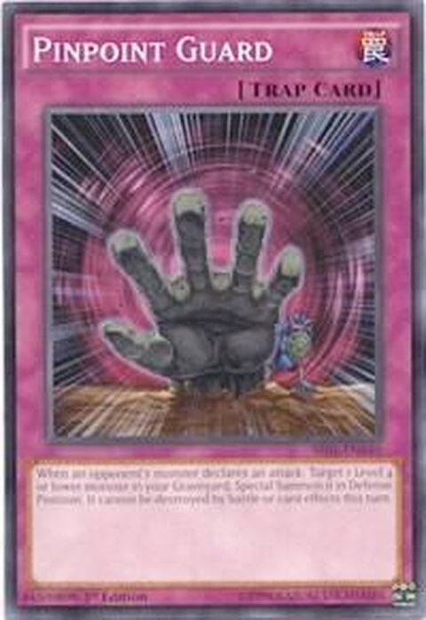 sr01-en040-pinpointguard