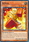 sr03-en017-boxer