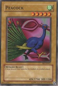 srl-011-peacock
