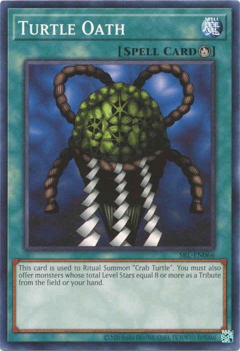 srl-en066-turtleoath