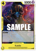 st09-004-kaido