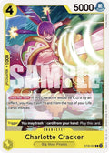 st20-002-charlottecracker