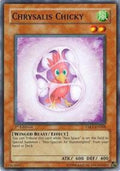 taev-en008-chrysalischicky