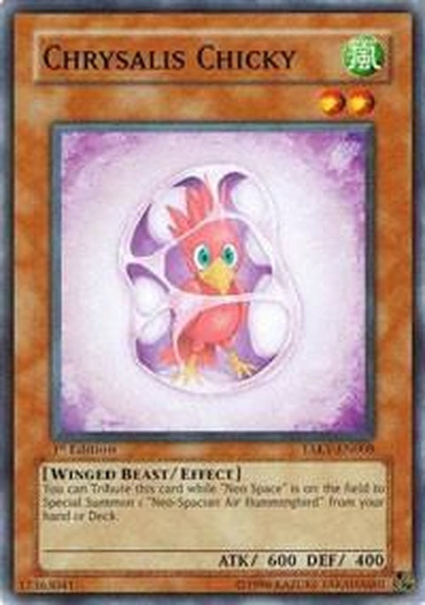 taev-en008-chrysalischicky