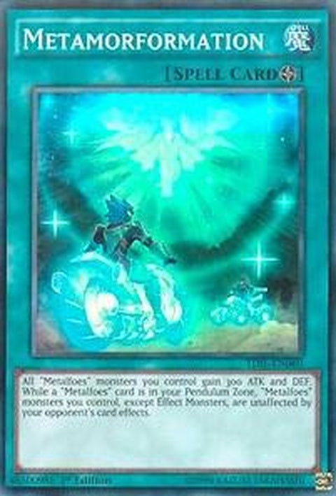 tdil-en060-metamorformation