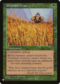 vis-104-elephantgrass