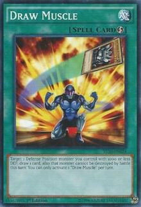ys16-en024-drawmuscle
